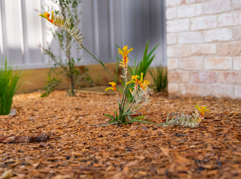 Lakeside Civil & Landscapes